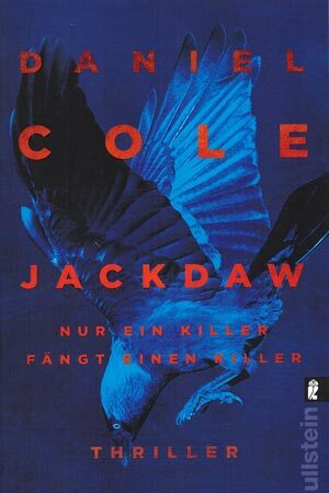 jackdaw, fokken
